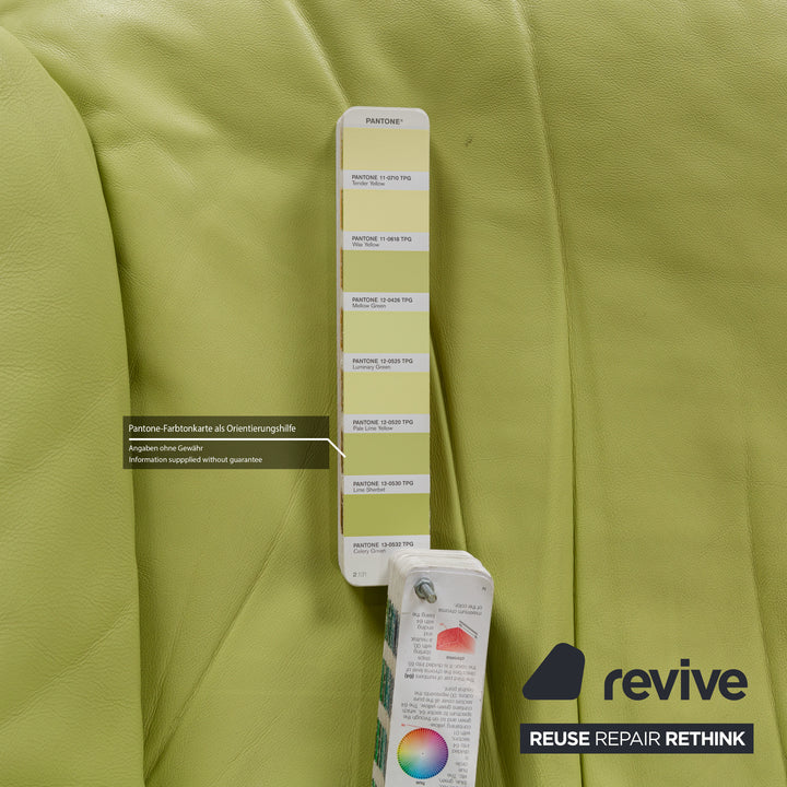 Fauteuil en cuir Nieri Divani Vert