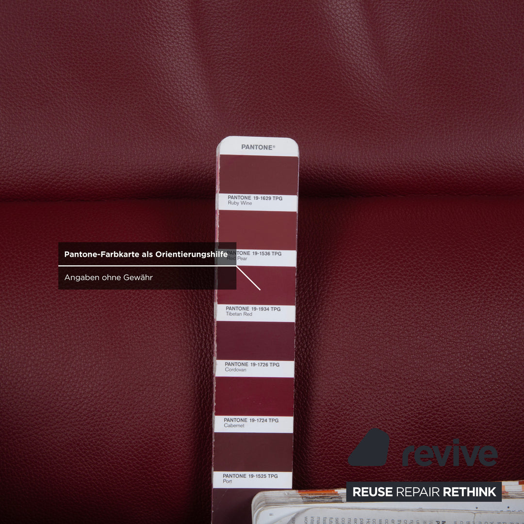 Rolf Benz 322 Leder Sessel Rot Bordeaux