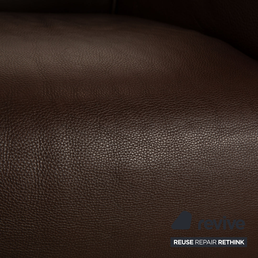Rolf Benz 6300 Leather Armchair Dark Brown Brown