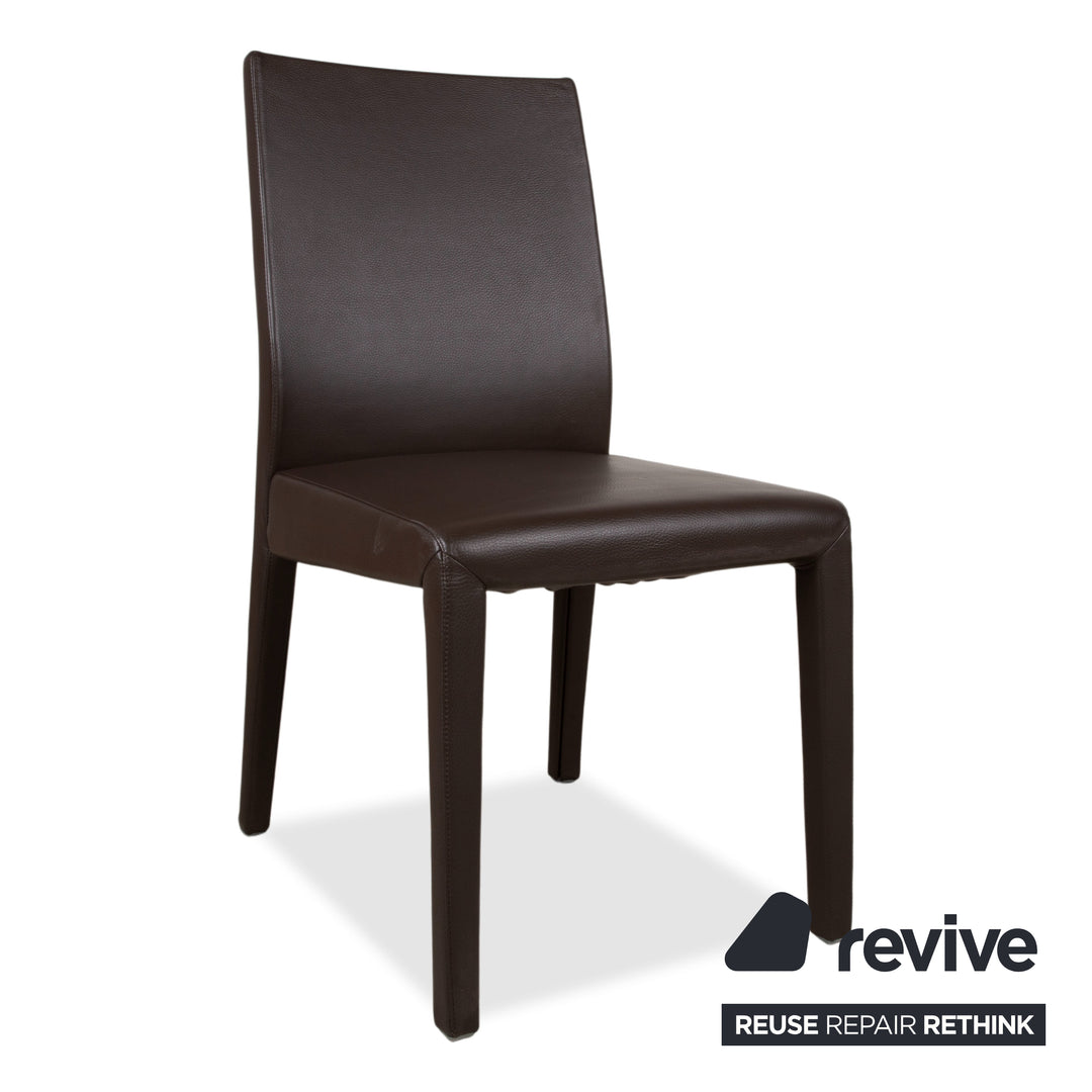 Rolf Benz 6er Garnitur Stühle Leder Braun Mokka