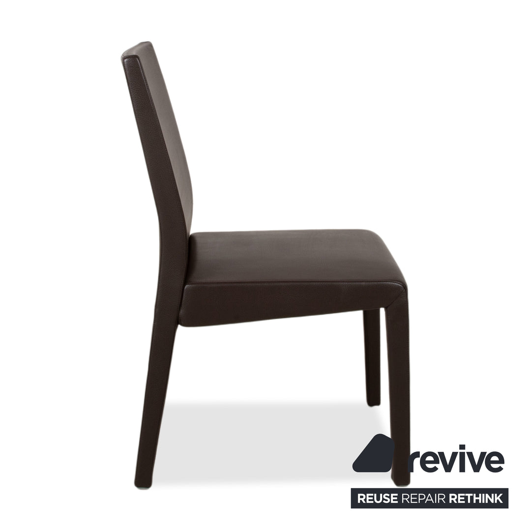 Rolf Benz 6er Garnitur Stühle Leder Braun Mokka