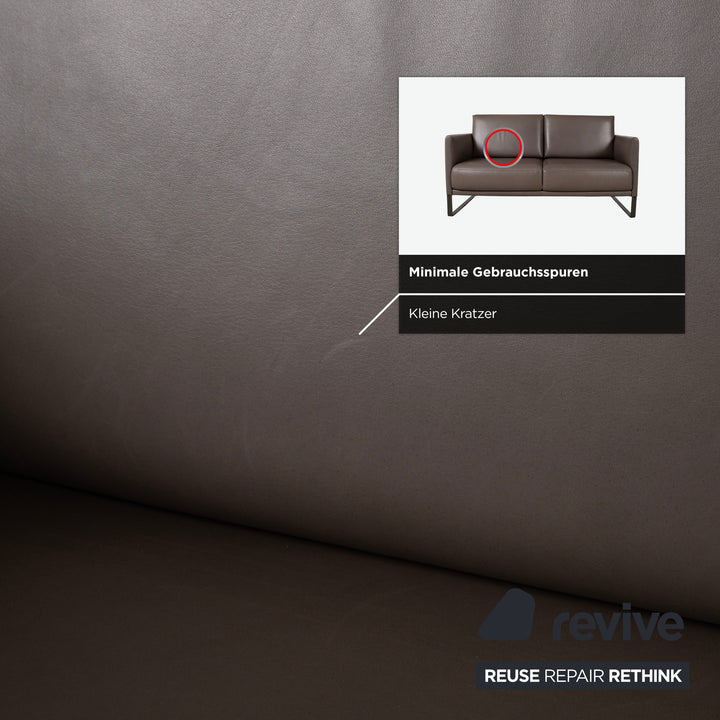 Rolf Benz Cara Leder Zweisitzer Grau Braun Taupe Sofa Couch