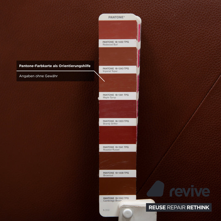 Rolf Benz Dono 6100 Leder Dreisitzer Braun Cognac Kastanie Sofa Couch