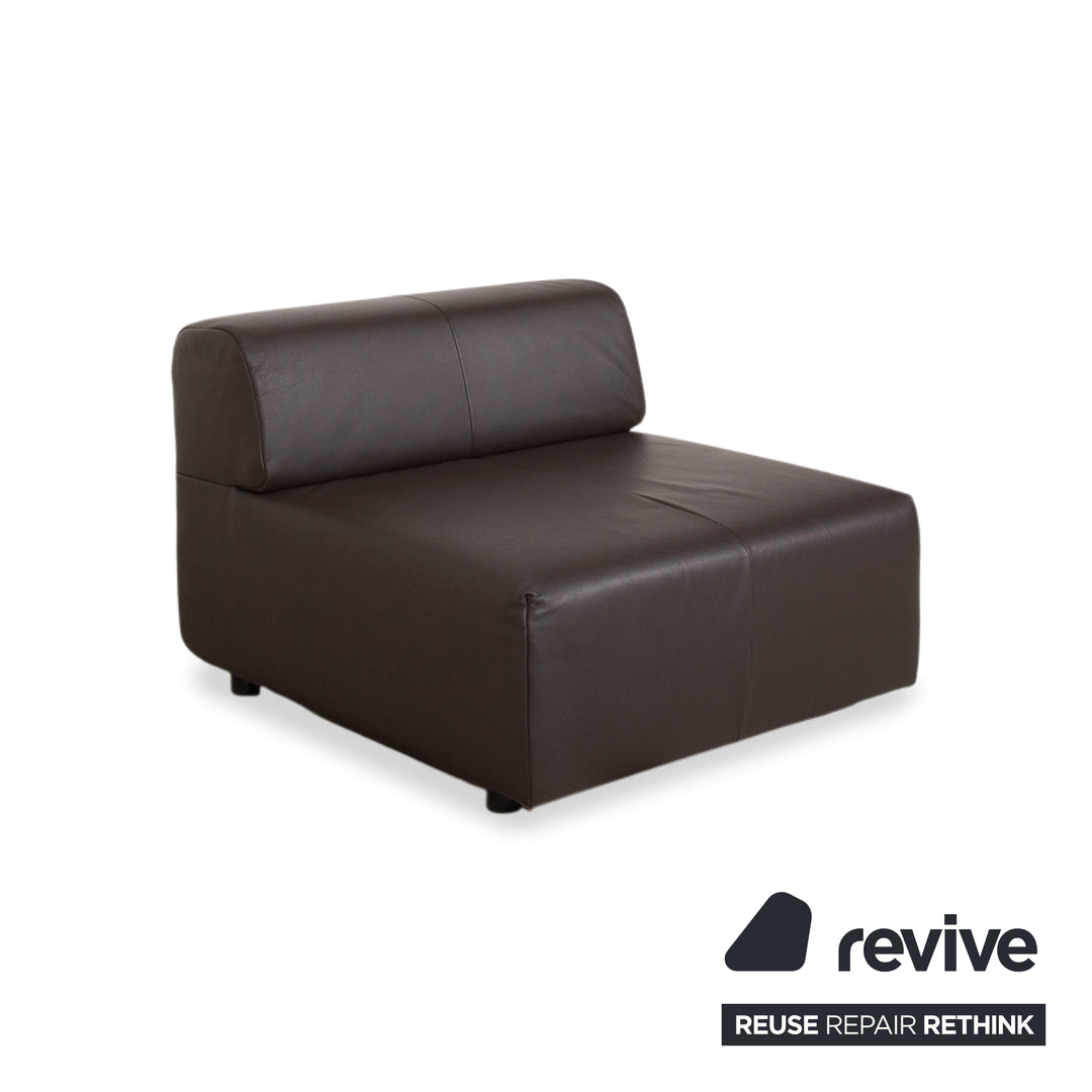 Rolf Benz freistil 185 Set 3x Leather Armchair Brown Mocha