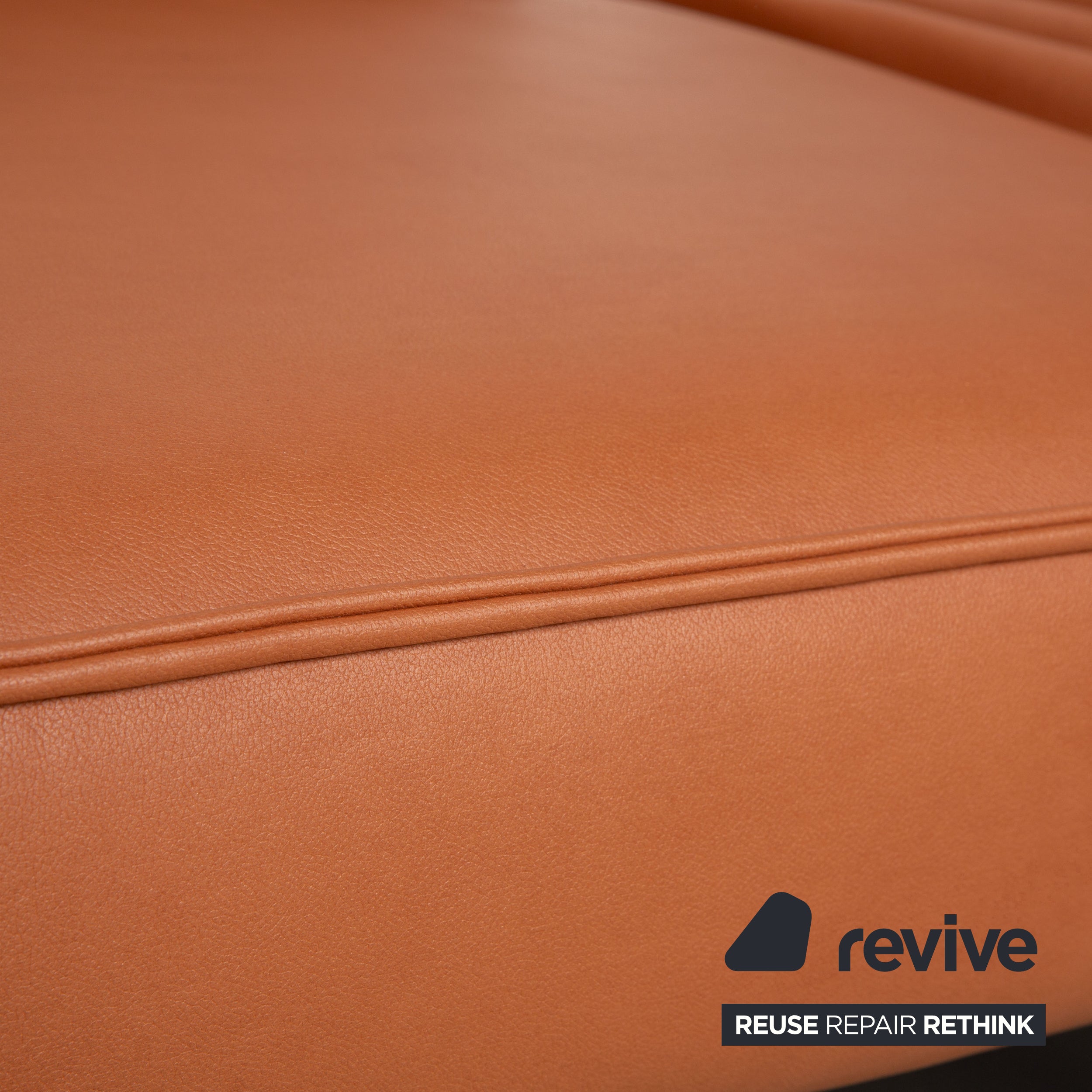 Rolf Benz Mera 386 Leder Zweisitzer Braun Camel manuelle Funktion Sofa Couch Neubezug GAVIN 103