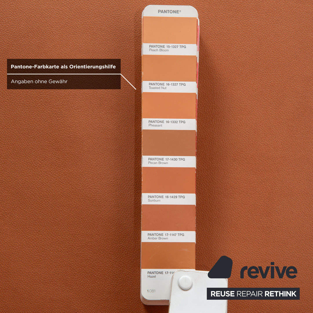 Rolf Benz Mera 386 Canapé deux places en cuir marron camel à réglage manuel - Réfection de la sellerie GAVIN 103