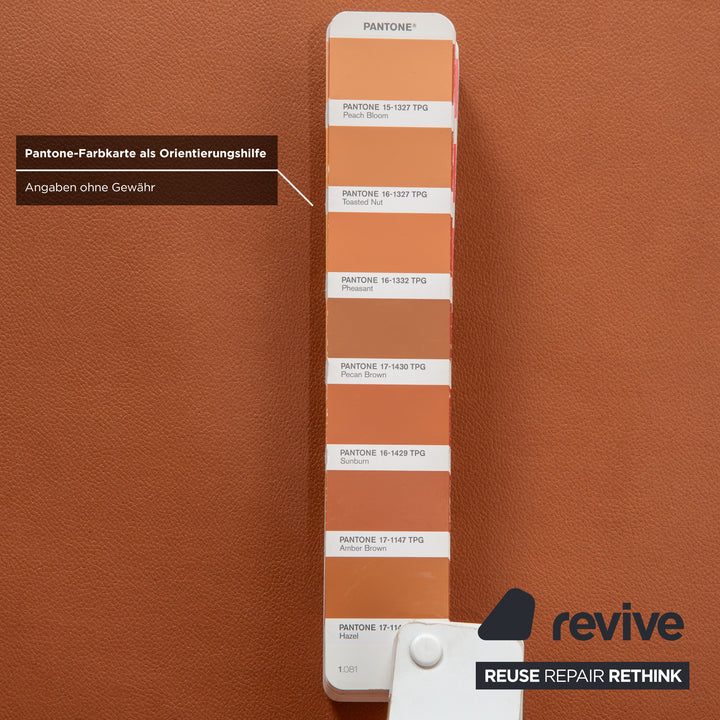 Rolf Benz Mera 386 Canapé deux places en cuir marron camel à réglage manuel - Réfection de la sellerie GAVIN 103