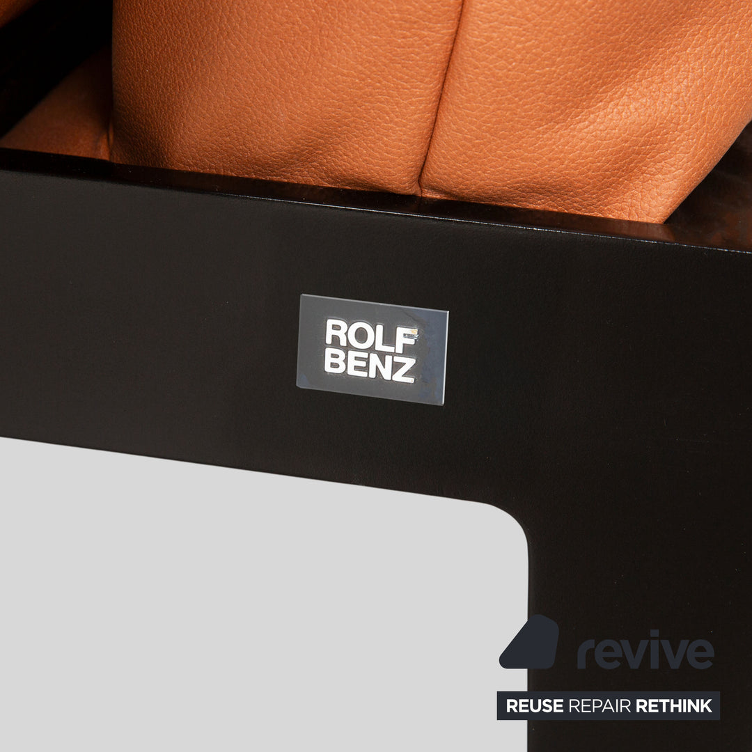 Rolf Benz Mera 386 Leder Zweisitzer Braun Camel manuelle Funktion Sofa Couch Neubezug GAVIN 103