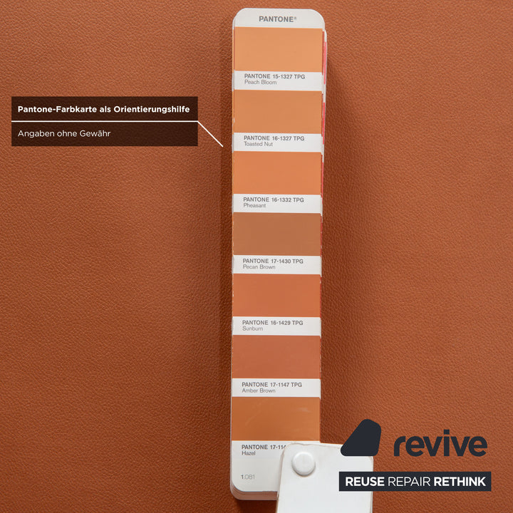 Rolf Benz Mera 386 Leder Zweisitzer Braun Camel manuelle Funktion Sofa Couch Neubezug GAVIN 103