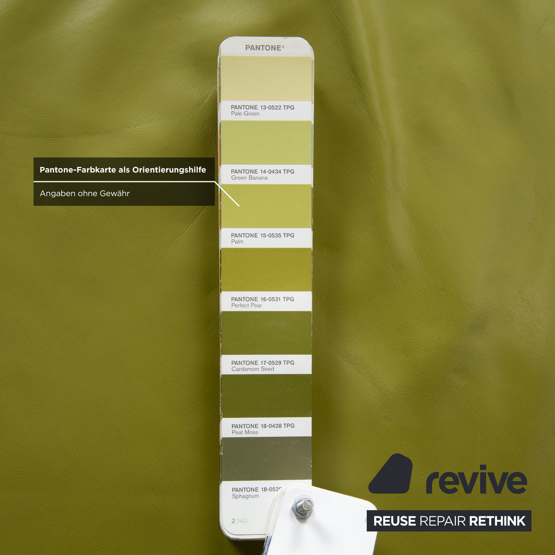 Rolf Benz Plura Zweisitzer Leder Sofa Grün Gelb manuelle Funktion