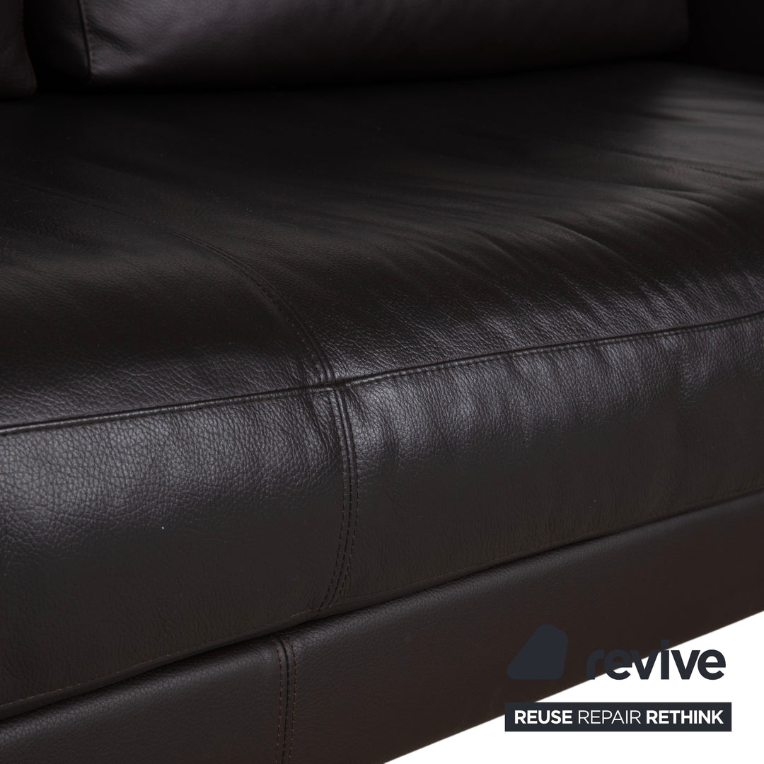 Rolf Benz Vida Zweisitzer Leder Sofa Dunkelbraun Couch Kopfstütze