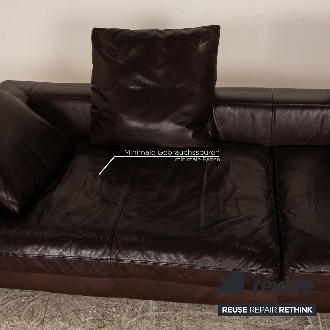 Tommy M by Machalke Al Jazar Leather Four Seater Brown Sofa Couch