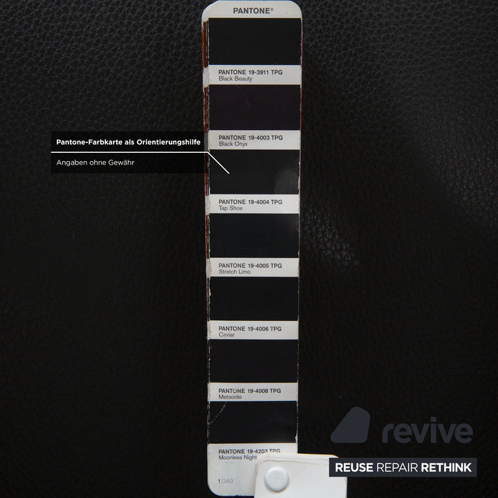 Walter Knoll Jason Leder Sessel Schwarz