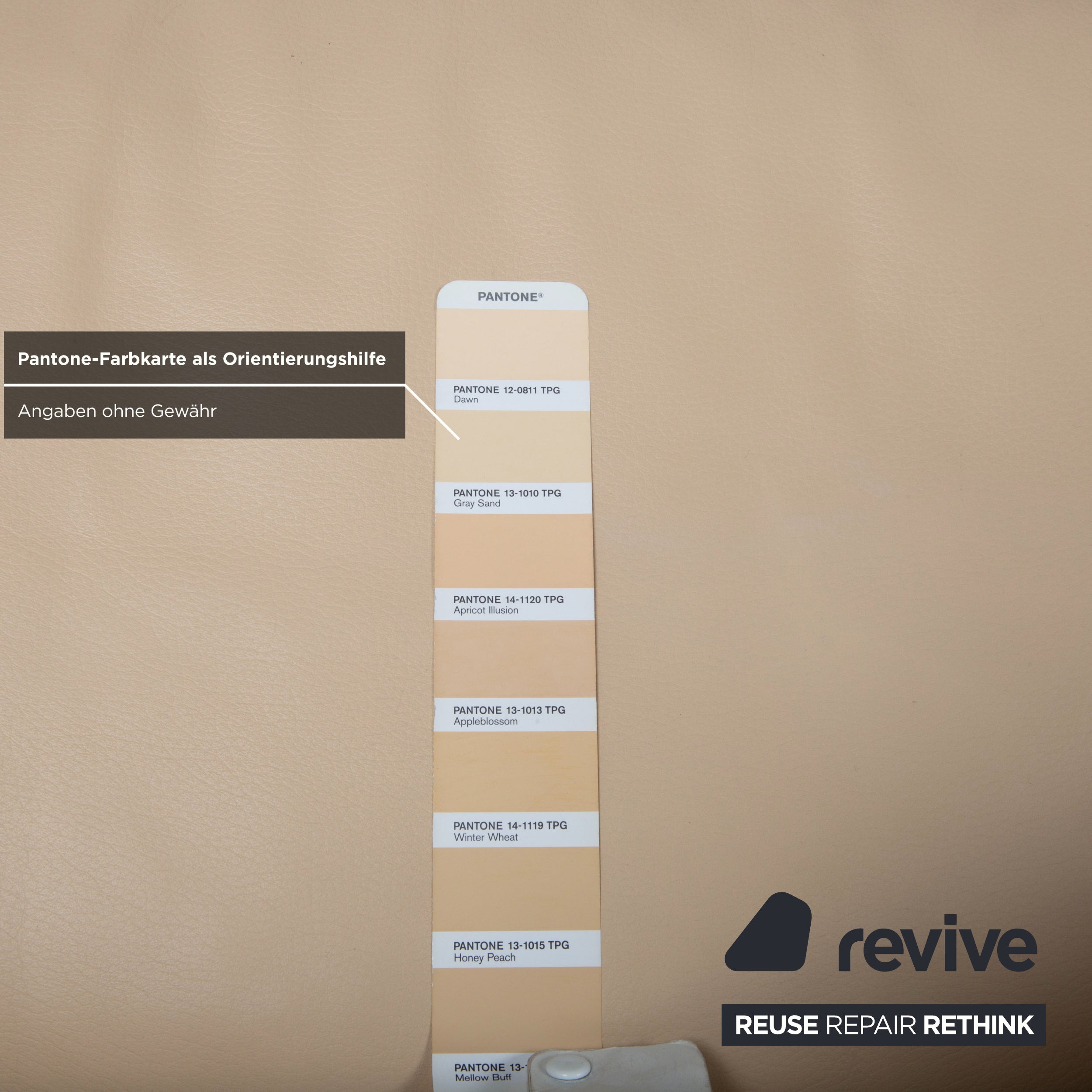 Walter Knoll Nelson Leder Sessel Creme Beige