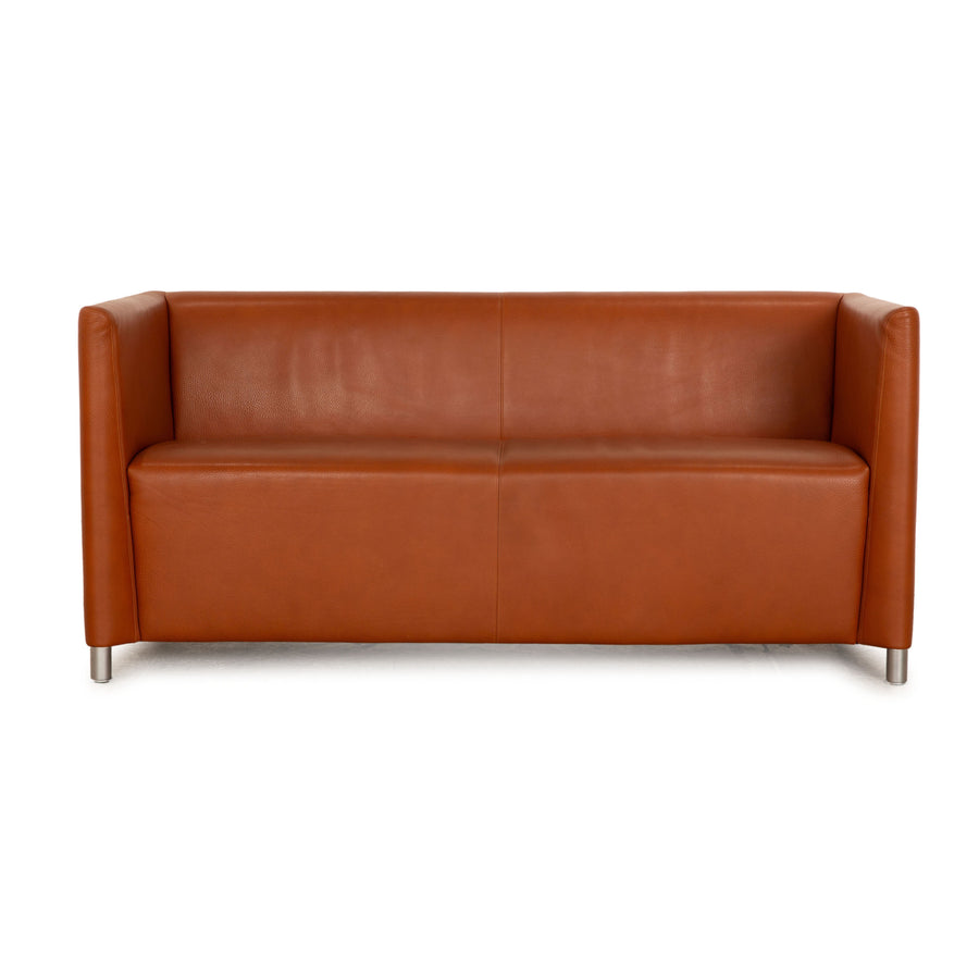 Walter Knoll Norman 350 Leder Zweisitzer Braun Sofa Couch