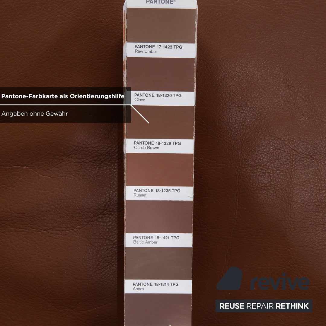 Walter Knoll Zweisitzer Leder Sofa Braun