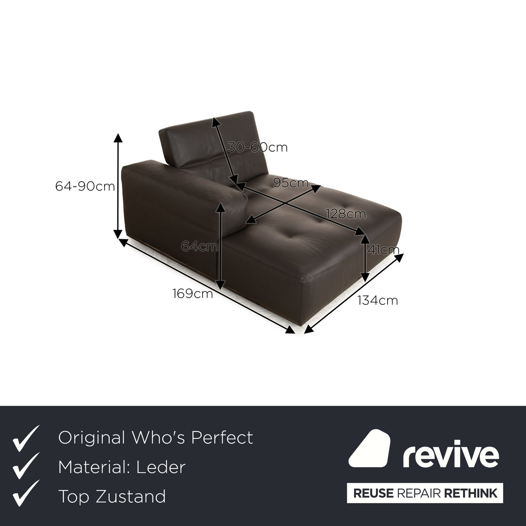 Who's Perfect Leather Lounger Brown Dark Brown Daybed manual function