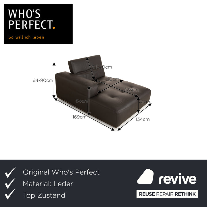 Who's Perfect Leather Lounger Brown Dark Brown Daybed manual function