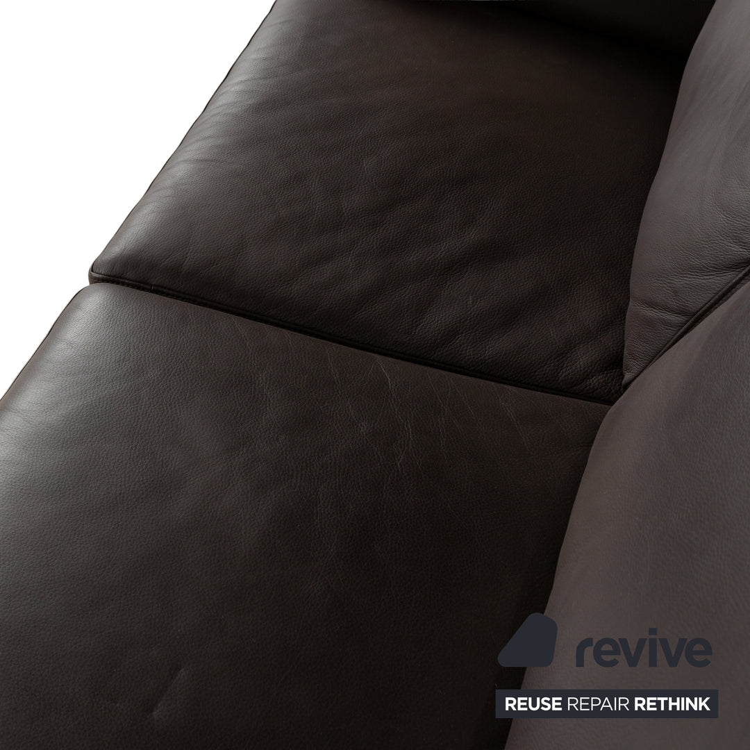 Willi Schillig Leder Zweisitzer Braun Sofa Couch
