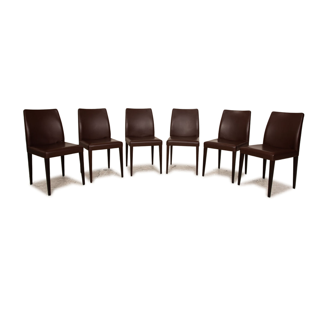 6er Garnitur Poltrona Frau Leder Stuhl Braun Esszimmer
