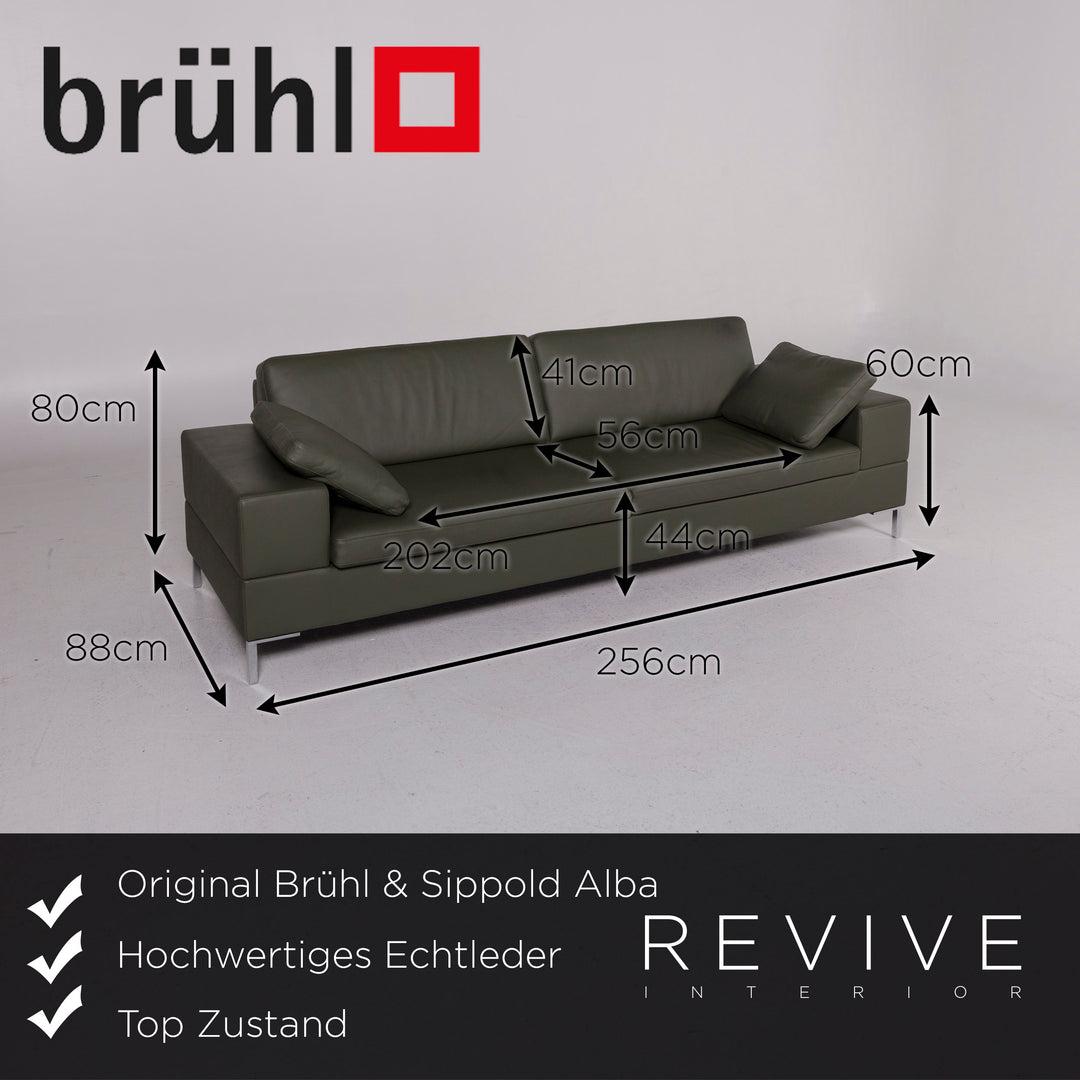 Brühl & Sippold Alba Leder Sofa Grün Dreisitzer Couch #11704