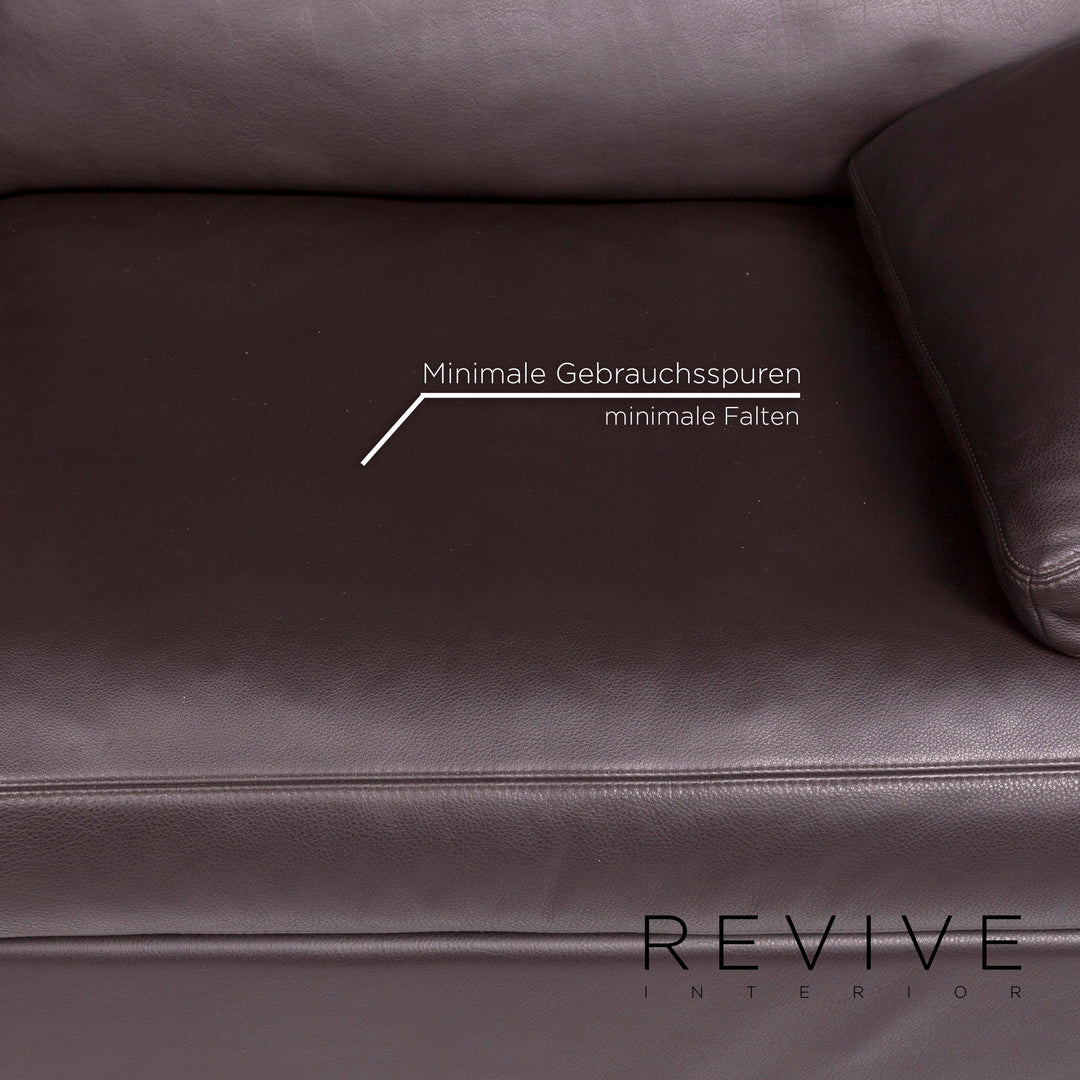 Cor Conseta Leder Sofa Braun Dunkelbraun Zweisitzer Couch #11247