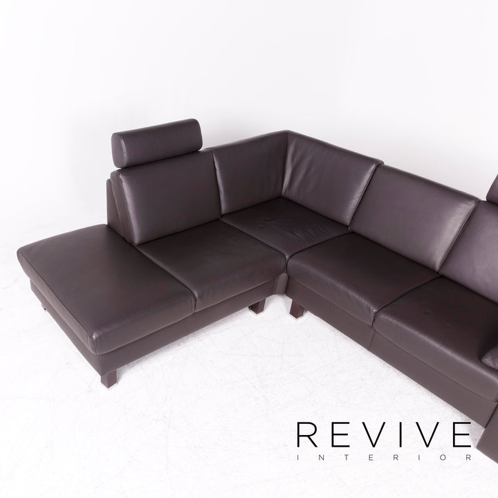 Ewald Schillig Designer Leder Ecksofa Braun Echtleder Sofa Couch #8659