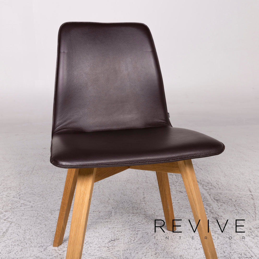 KFF Leder Holz Sessel Dunkelbraun Stuhl #9970