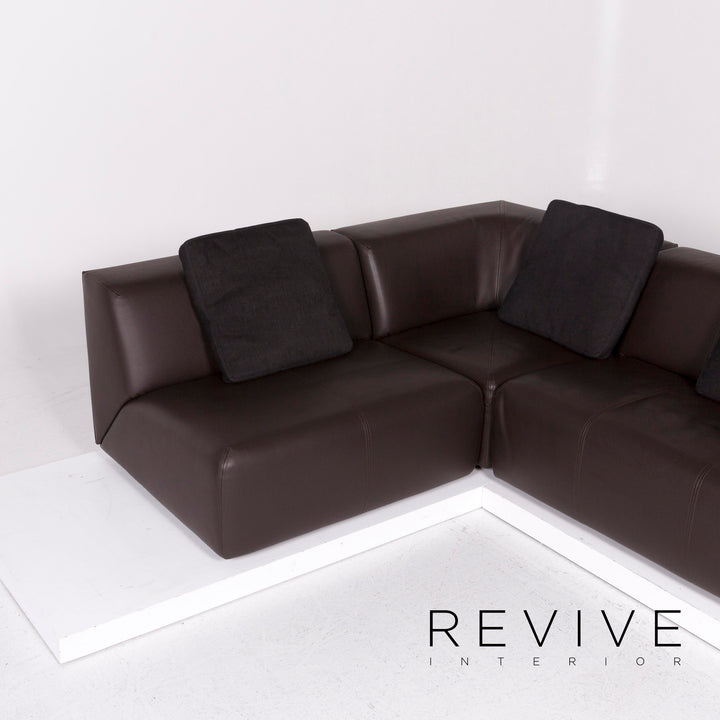 Rolf Benz Leder Ecksofa Braun Dunkelbraun Sofa Couch #10986