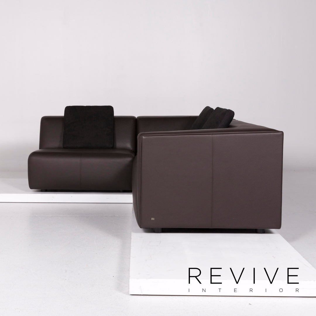 Rolf Benz Leder Ecksofa Braun Dunkelbraun Sofa Couch #10986