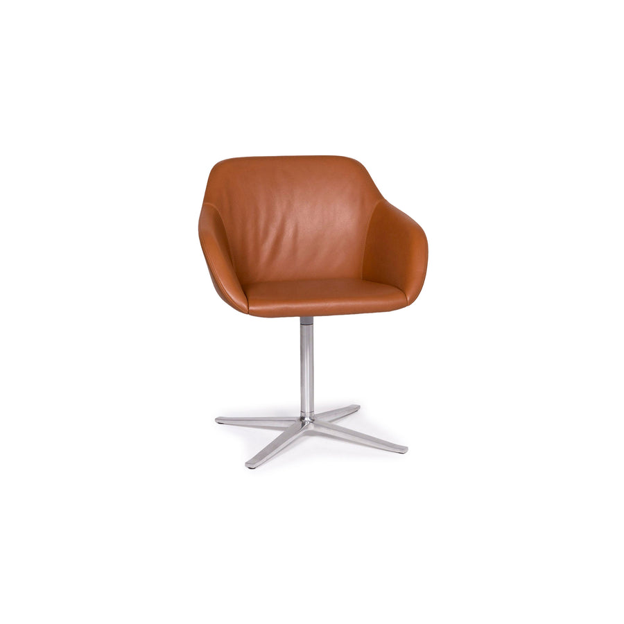 Walter Knoll Kyo Ledear Armchair Brown Chair #11927