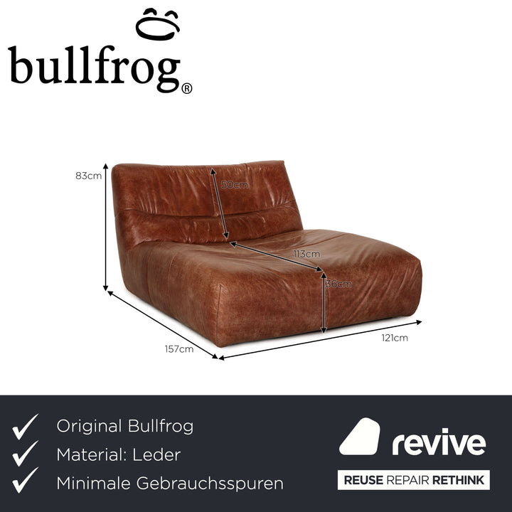 Bullfrog Cayman Leder Liege Rost Braun