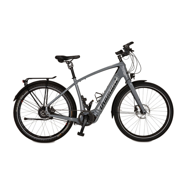 Diamant E-Trekking Bike OPAL ESPRIT + 2020 Silber Aluminium