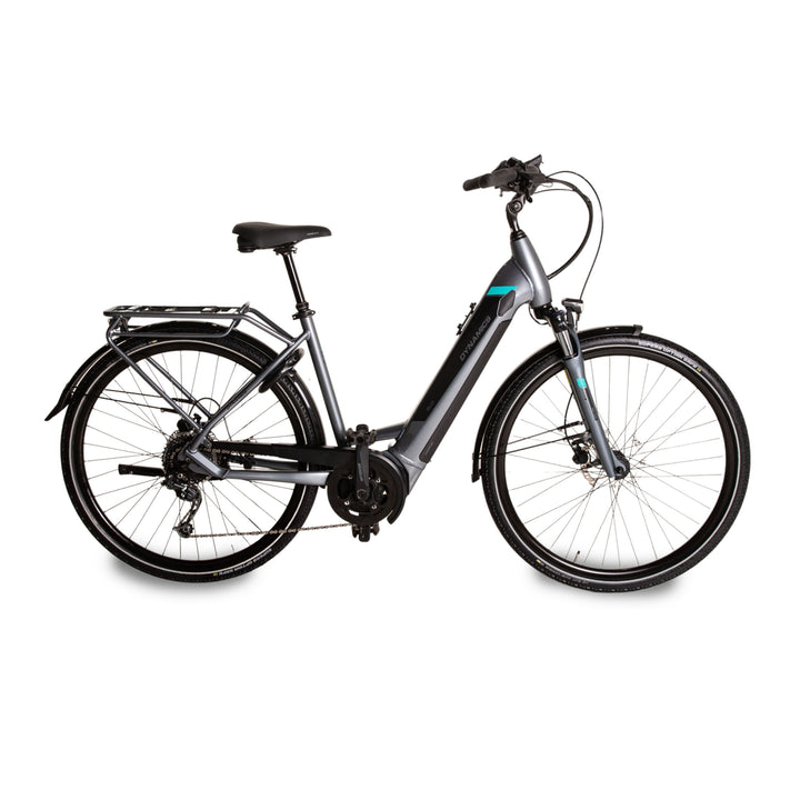 Dynamics Evo Nine 6 2020 E-Trekkingbike Grau Pedelec RH 50 Fahrrad