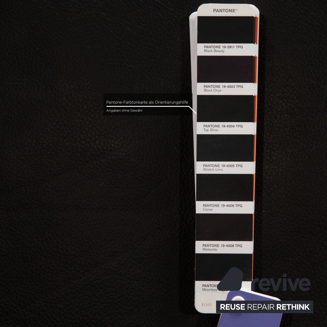 Ewald Schillig Brand Face Leder Liege Schwarz