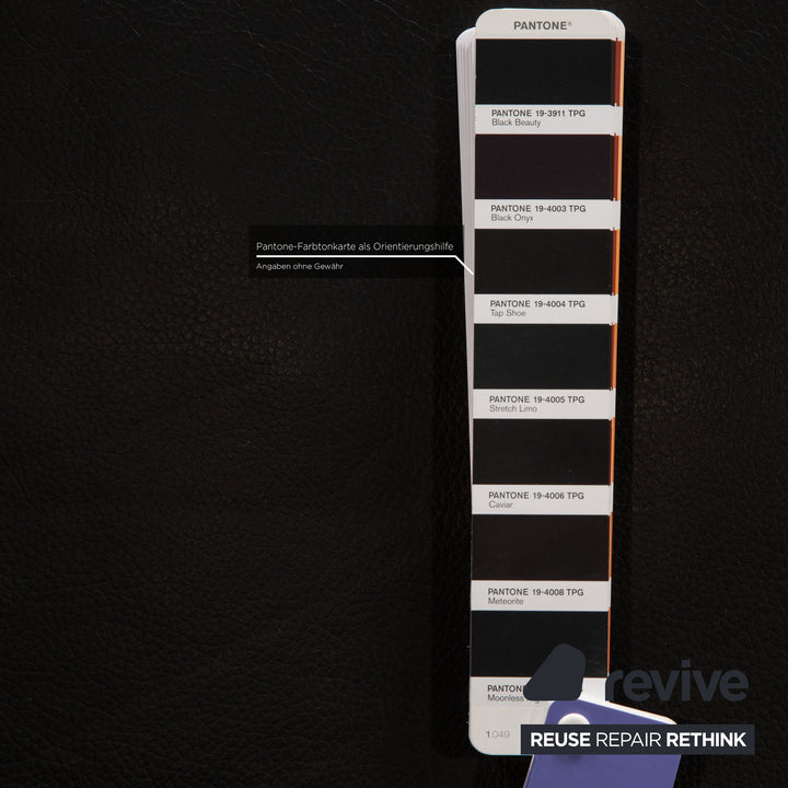 Ewald Schillig Brand Face Leder Liege Schwarz