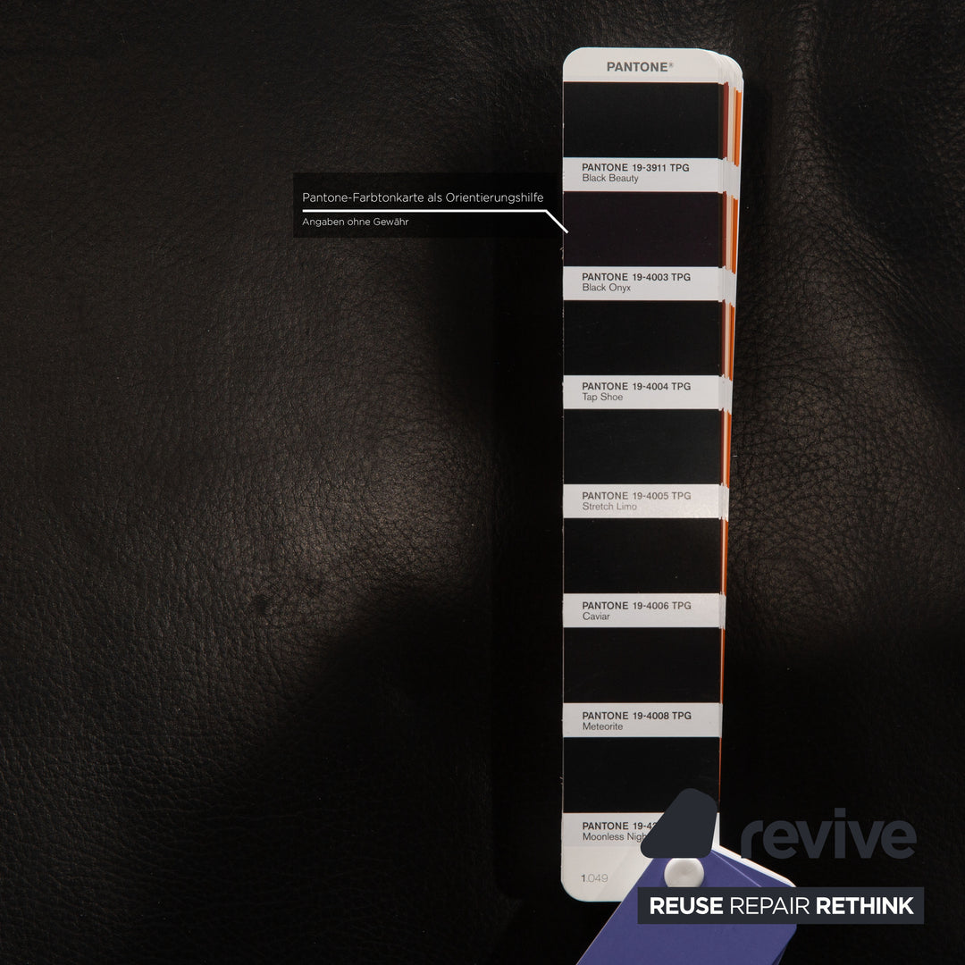 Ewald Schillig Brand Face Leder Liege Schwarz