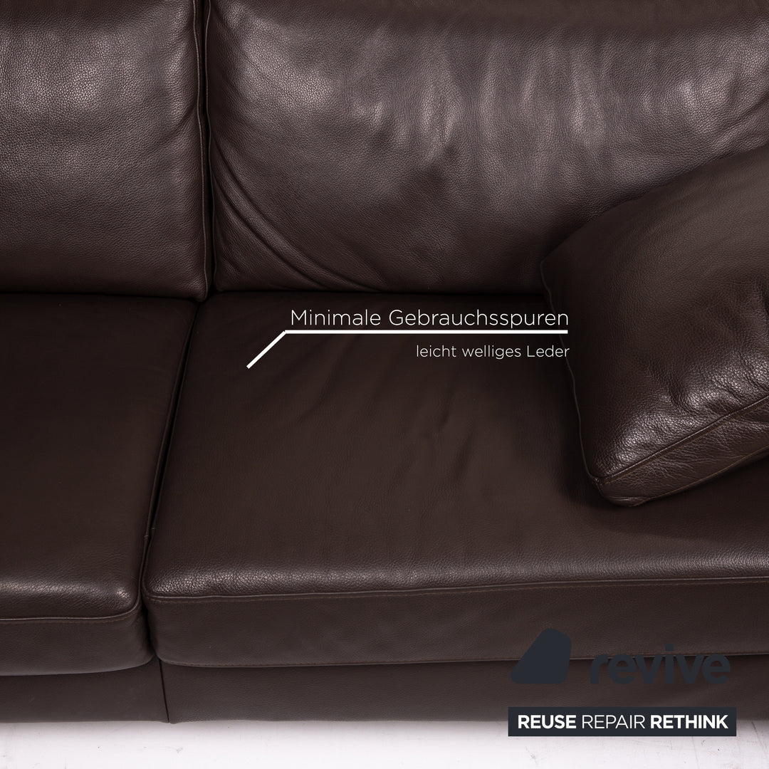 Ewald Schillig Concept Plus Leder Sofa Braun Dunkelbraun Zweisitzer Couch #14906
