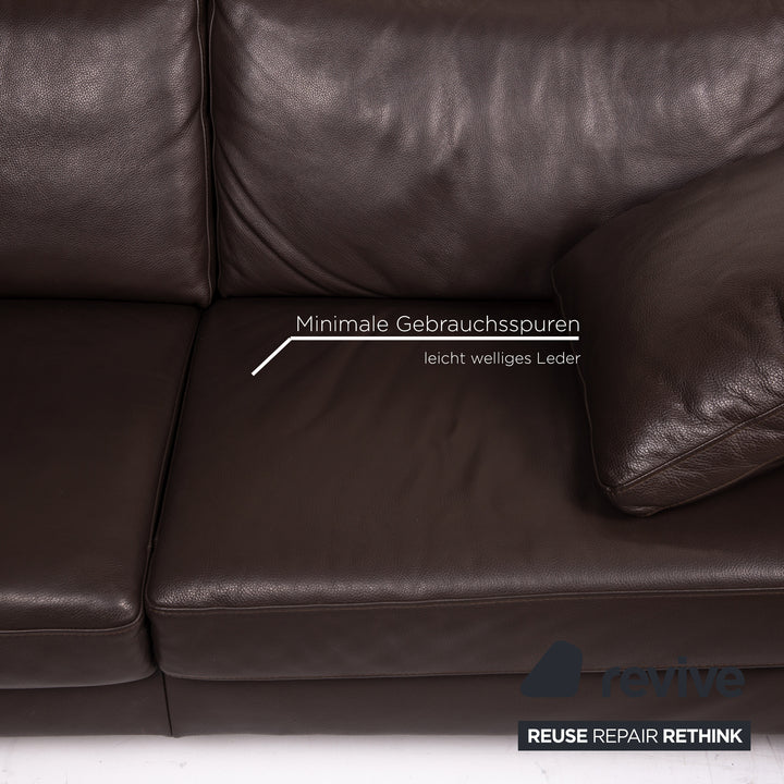 Ewald Schillig Concept Plus Leder Sofa Braun Dunkelbraun Zweisitzer Couch #14906