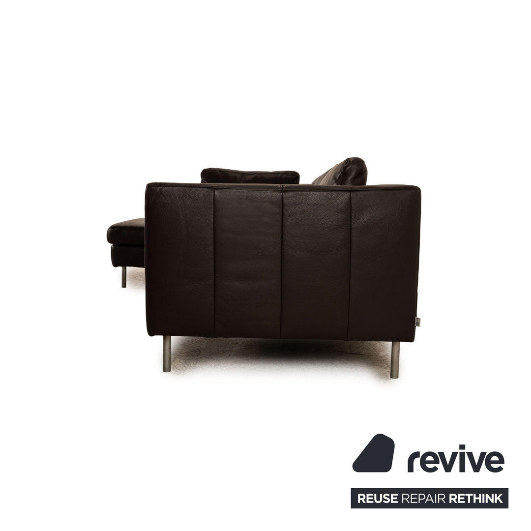 Ewald Schillig Domino Leder Ecksofa Dunkelbraun Sofa Couch