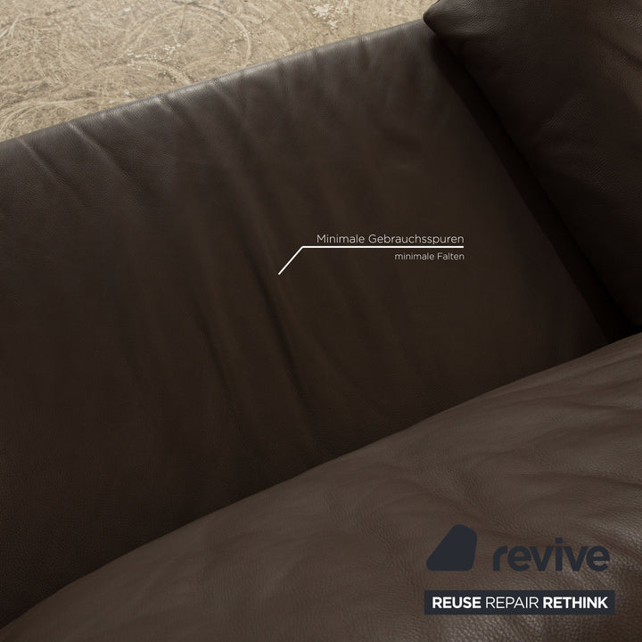 Ewald Schillig Flex Plus Leder Dreisitzer Braun Dunkelbraun Sofa Couch