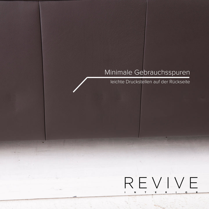 Ewald Schillig leather sofa dark brown two-seater #14829