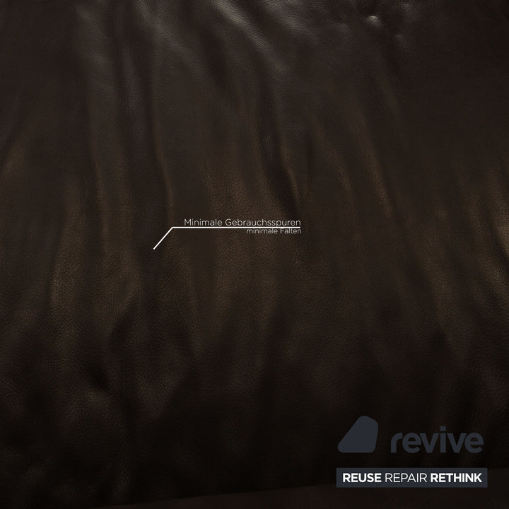 Ewald Schillig Loft Leder Ecksofa Dunkelbraun Sofa Couch