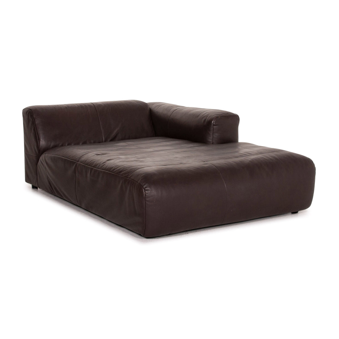 Freistil Rolf Benz 187 leather sofa dark brown brown two-seater recamier couch #15150