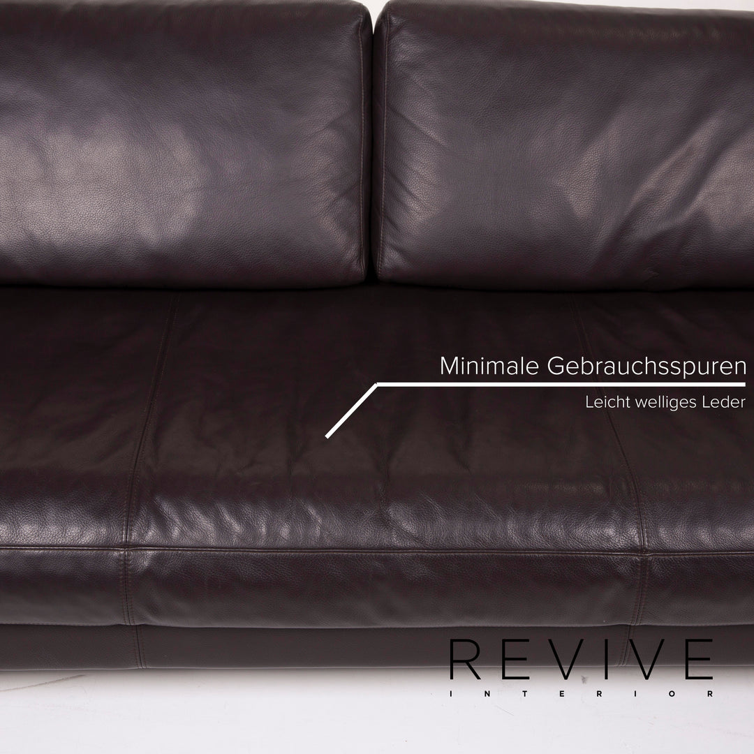 Freistil Rolf Benz Leather Sofa Dark Brown Three Seater #14654