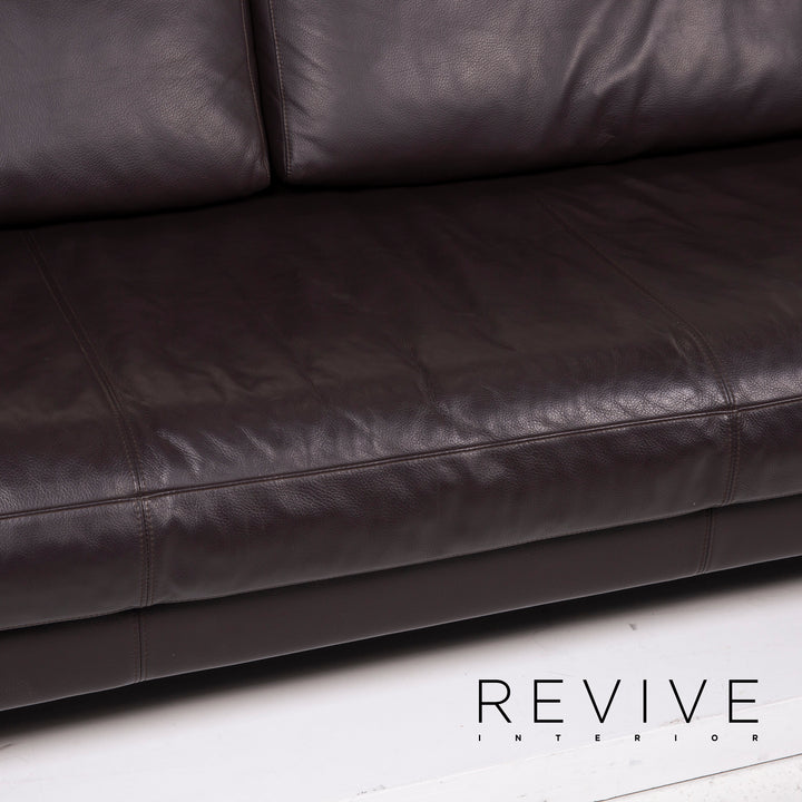Freistil Rolf Benz Leather Sofa Dark Brown Three Seater #14654