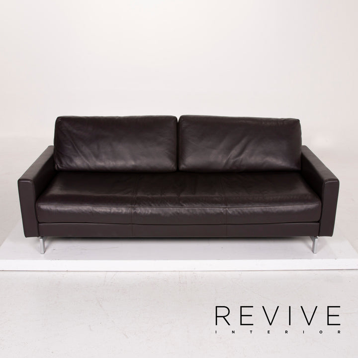 Freistil Rolf Benz Leather Sofa Dark Brown Three Seater #14654