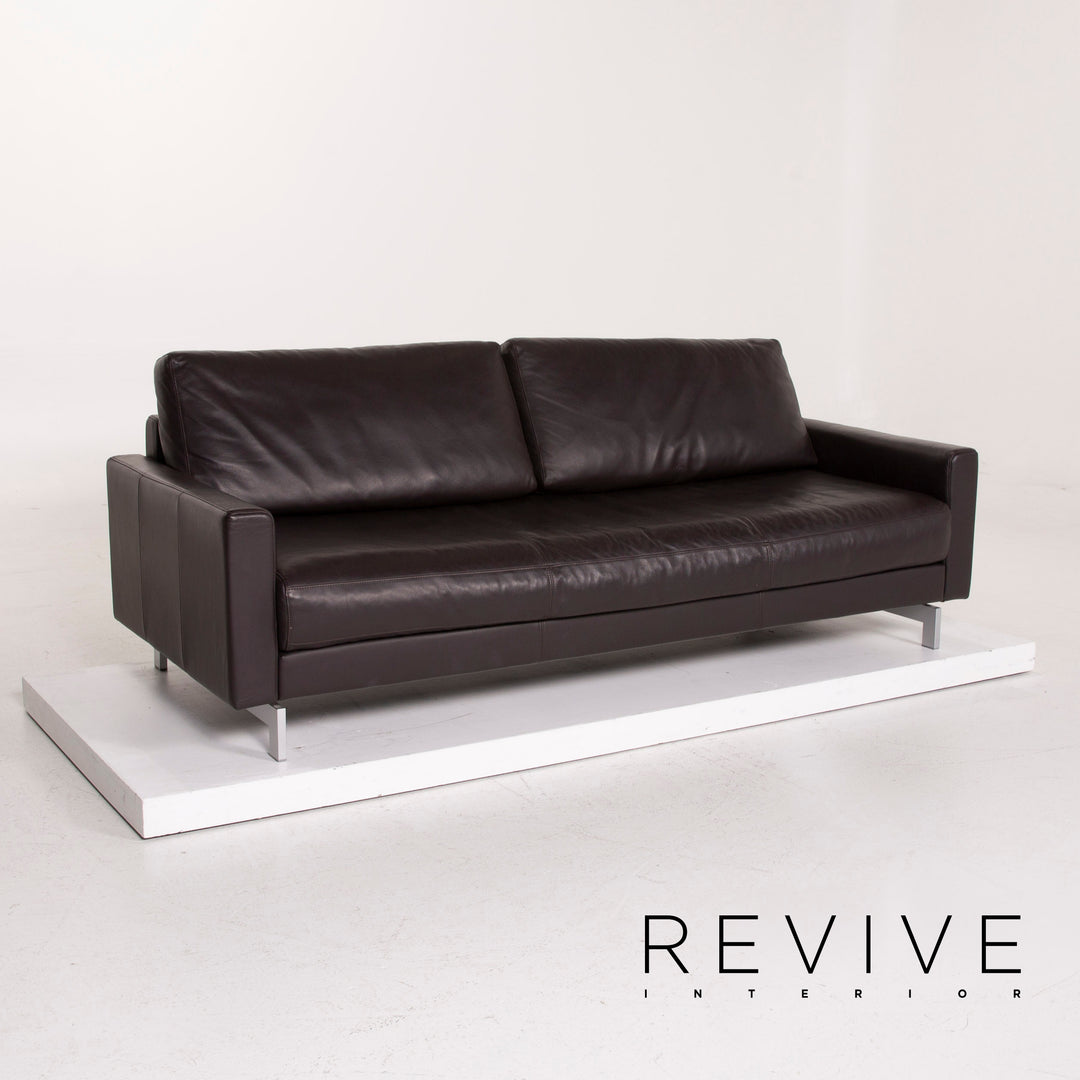 Freistil Rolf Benz Leather Sofa Dark Brown Three Seater #14654