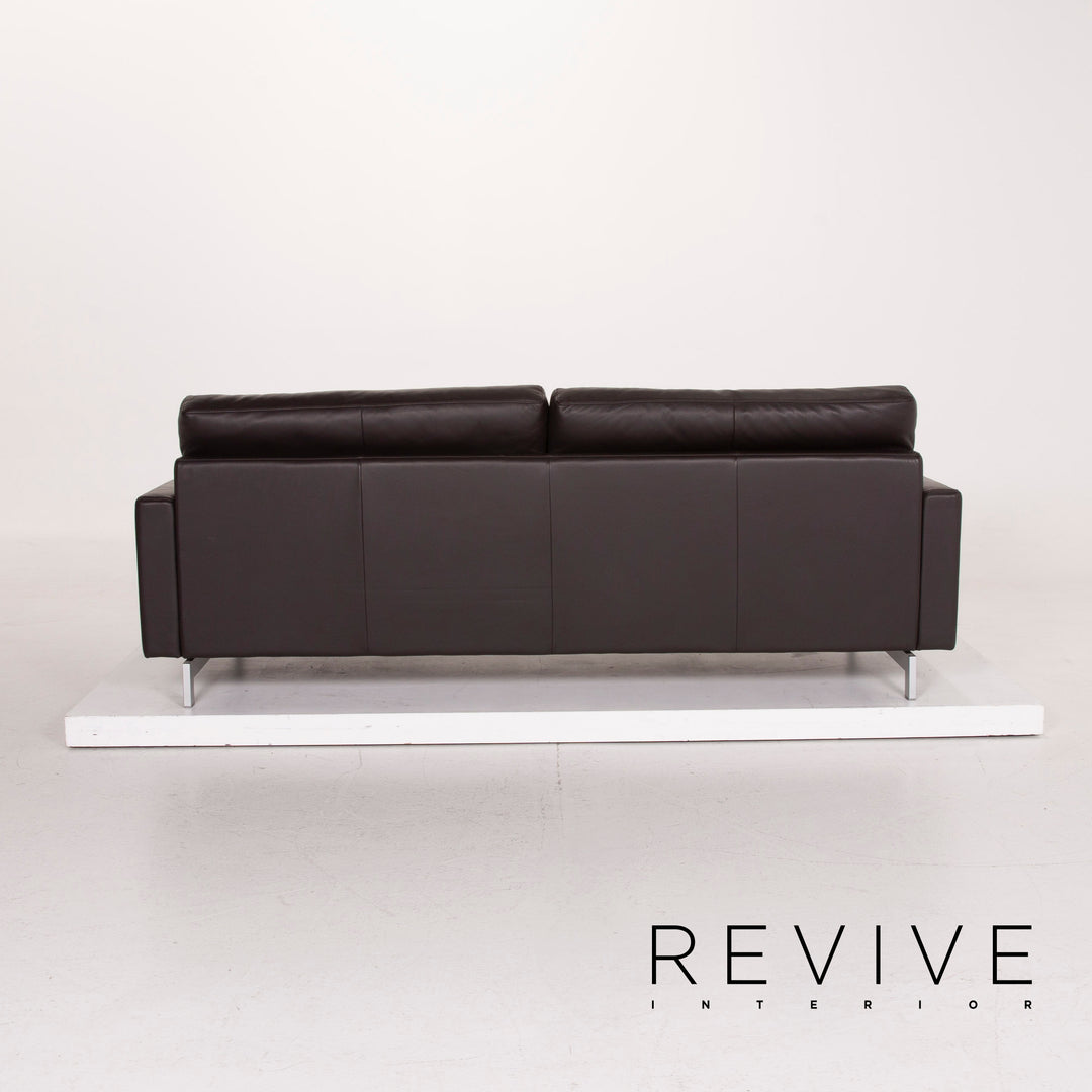 Freistil Rolf Benz Leather Sofa Dark Brown Three Seater #14654