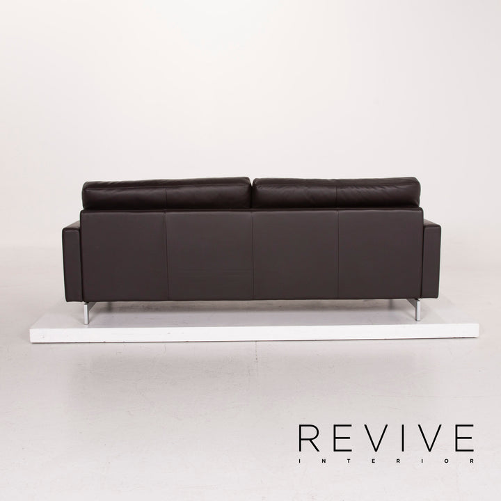 Freistil Rolf Benz Leather Sofa Dark Brown Three Seater #14654